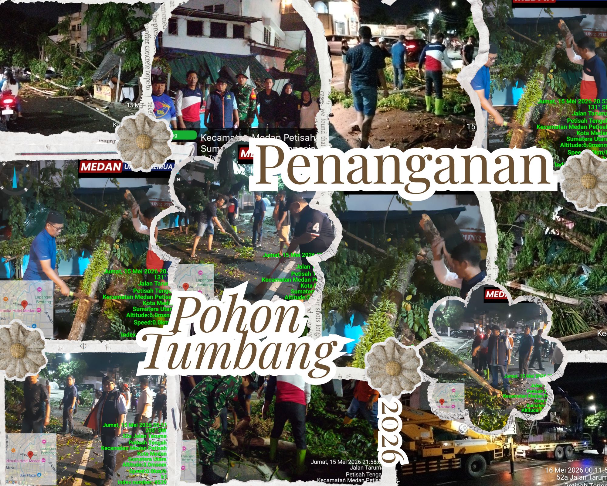 Penanganan Pohon Tumbang